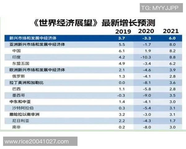 加维的崛起与未来发展：探索新兴市场中的机遇与挑战